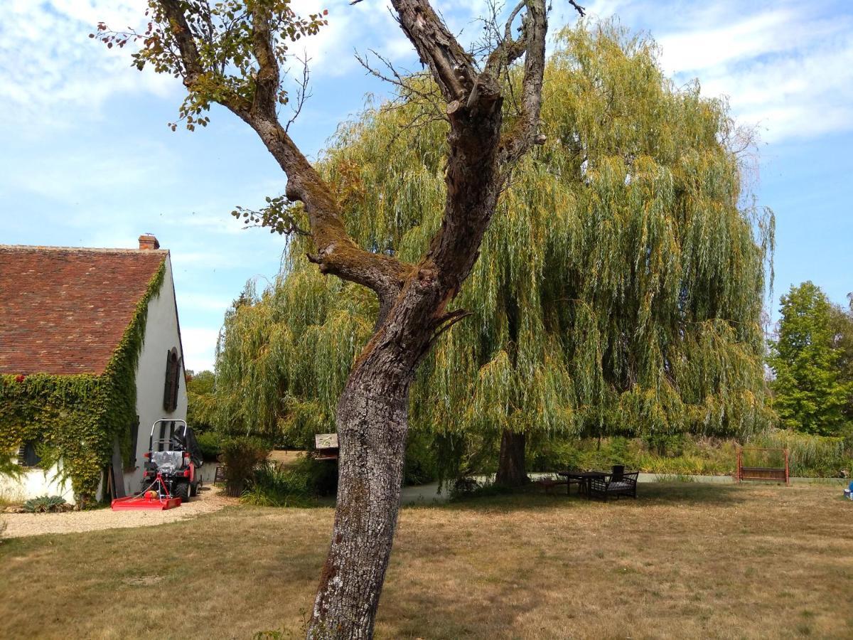 Apartament Domaine De La Richardelle Courtenay  Zewnętrze zdjęcie